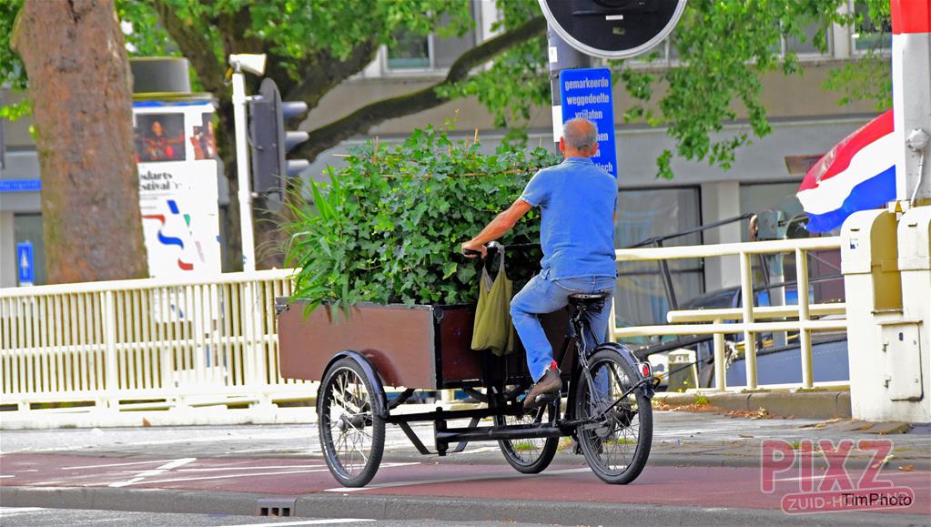 Bakfiets in Rotterdam